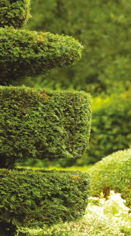 Entretiens d'espaces verts